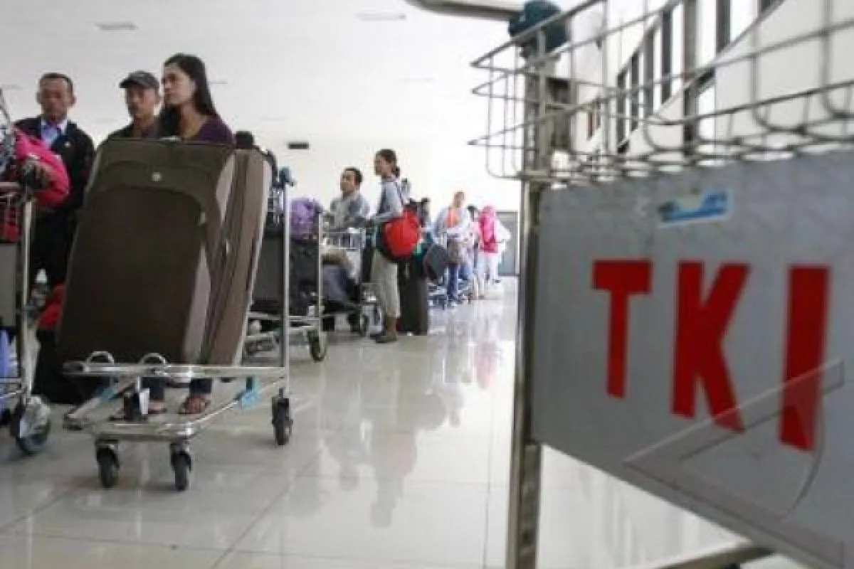 Tenaga Kerja Indonesia: Pahlawan Devisa yang Menerangi Negeri dengan Jerih Payah dan Pengorbanan
