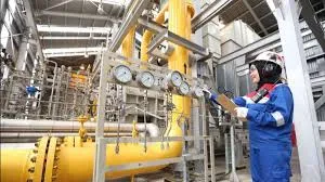 Evaluasi Industri Penikmat Gas Murah (HGBT) : Perlu Langkah Strategis untuk Memaksimalkan Potensi