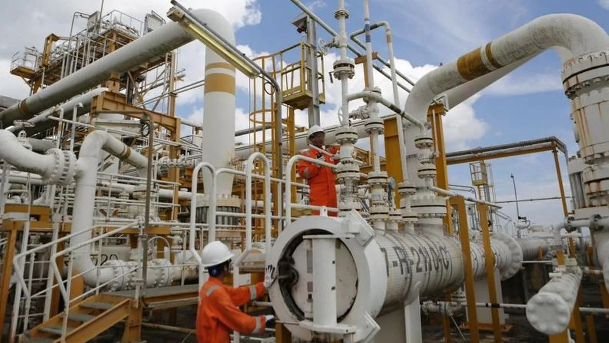 Pasokan Gas Melimpah dan Murah, RI Jadi Surga Industri?