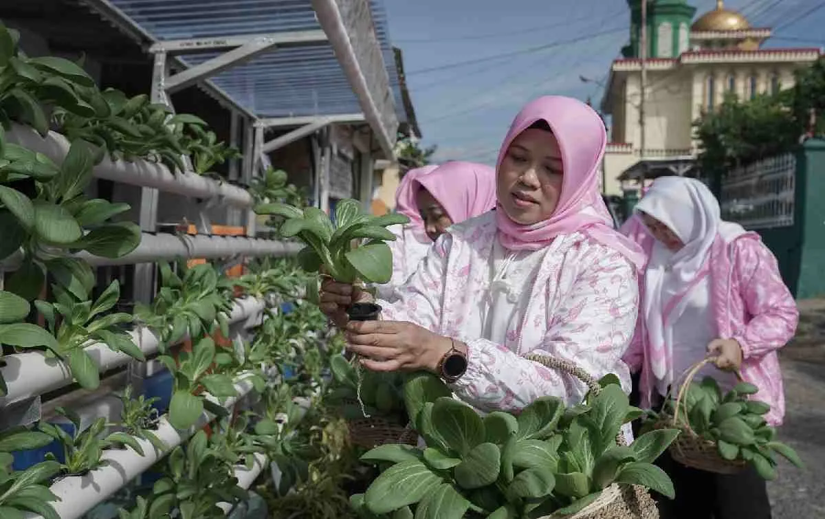 BRINita Bantu Kelompok Tani Ubah Lahan Terbengkalai Jadi Produktif, Dorong Ketahanan Pangan Nasional (Ilustrasi)