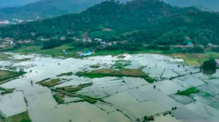 Banjir Robohkan Ratusan Rumah dan Rendam 400 Hektar Sawah di Konawe: Dampak Hujan Deras dan Luapan Sungai Aworeka (Ilustrasi)