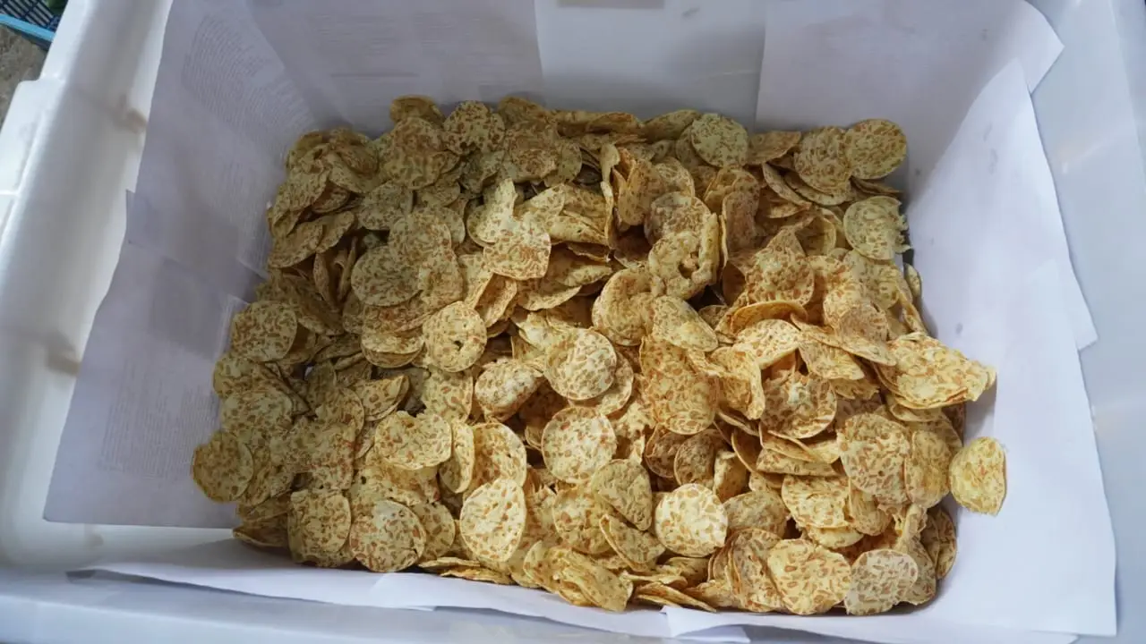 Keripik tempe bulat keemasan yang baru saja matang ditiriskan di keranjang berlapis kertas.